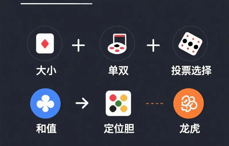 澳洲幸运10投注选项图解